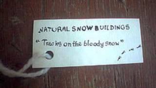 Natural Snow Buildings  Tracks on the Bloody Snow 1999 Full Demo Album [upl. by Ahteres]