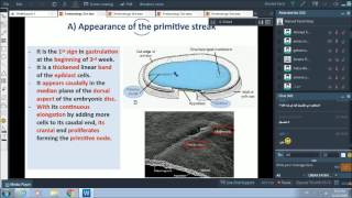 3rd wk of pregnancy  gastrulation  Dr Ahmed Farid [upl. by Annadal491]