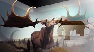 the Last Ice Age megafauna Toba amp Neolithic Age [upl. by Gula]