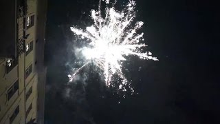 Feuerwerk Vorschießen am 29122016 Dekolager Berlin 22 Sorten [upl. by Niamjneb]