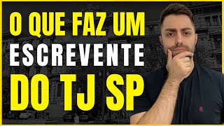 O que faz um Escrevente do TJSP  Concurso TJ SP [upl. by Kalam791]