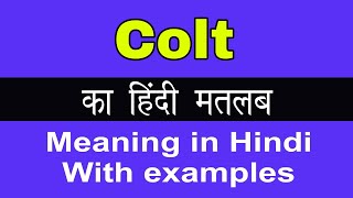 Colt Meaning in HindiColt का अर्थ या मतलब क्या होता है [upl. by Clintock394]