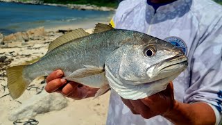 FISHING FOR KABELJOUSTRAND AND BETTYS BAY [upl. by Nytnerb598]