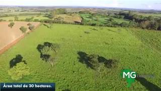 Fazenda de 30 hectares a venda na cidade de LuzMG [upl. by Savanna]