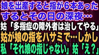 【スカッとする話】娘を出産すると指が６本あったするとその日の深夜…姑「多指症の障外者は治してやる」姑が娘の指をハサミで…しかし私「それ娘の指じゃない」姑「え？」【修羅場】 [upl. by Meeharbi]