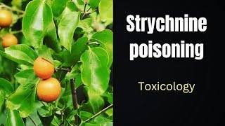 Lec39 Strychnine poisoning 🔥Strychnos Nux vomica poisoning Neurotic poisons Spinal poisons [upl. by Anelac646]