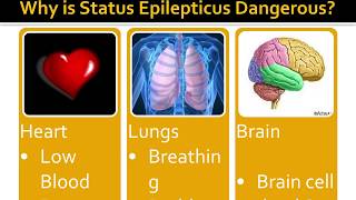 Status epilepticus and increased intracranial pressure  neurology  5th grade  prof Reda Elbadry [upl. by Brenden]