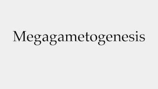 How to Pronounce Megagametogenesis [upl. by Twelve208]