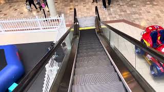 OTIS Down Escalator in JCPenneyBoscovs Court at Woodbridge Center  Woodbridge NJ [upl. by Dinin]