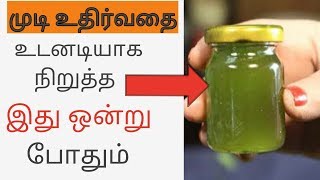 Ayurvedic வெற்றிலை To STOP Hair Fall Immediately And Grow New Hair100 effectiveTamil beautytips [upl. by Onoitna]