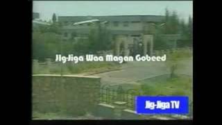 jigjiga TV news [upl. by Sitruk]