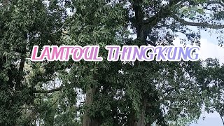 Lamtoul Thingkung  Purum Pulp Song  Riam Official Lyrics Video [upl. by Okihcas143]