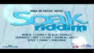 Soak Riddim MIXOctober 2012  Inna Mi House Music [upl. by Margarida]