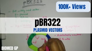 Plasmid vectors pBR322 [upl. by Nylsaj]