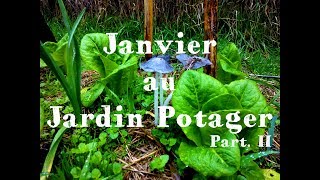 Janvier au Jardin Potager  PartII 🌳23 [upl. by Dagna]