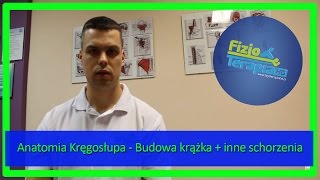 Anatomia Kręgosłupa  Budowa krążka  inne schorzenia 7 FizjoTerapia HD [upl. by Benenson]