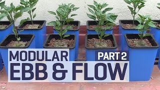 How to set up an Ebb and Flow  Flood and Drain Hydroponics Growing System  PART 2 of 6 [upl. by Maccarone]