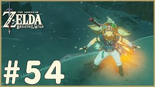 Zelda Breath Of The Wild  Blending In 54 [upl. by Irish289]