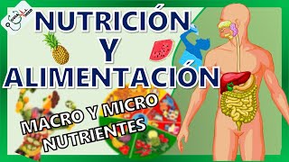 CONCEPTOS BÁSICOS DE NUTRICIÓN Y ALIMENTACIÓN  GuiaMed [upl. by Wellesley]