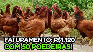 100 GALINHAS POEDEIRAS GERAM QUANTO DE LUCRO💰 Forma certa de começar [upl. by Barden289]