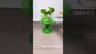 How to make a flower pot with plastic bottles shorts shortvideo foryou plasticpot flowerpot [upl. by Covell]