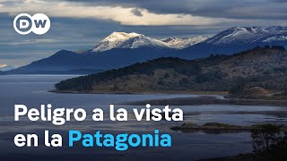 El controvertido puerto en el sur de Argentina que amenazaría la biodiversidad marina [upl. by Ahsinav]