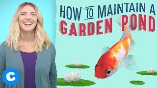 How To Maintain Your Garden Pond [upl. by Masry]