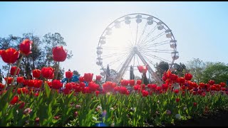 Floriade 2023 wrap up video [upl. by Gosselin580]