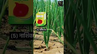 🌾agriculture🌾 shots kisan bkjaiswal agriculture shotsviral farming pyaj khetikisani [upl. by Hepzi]