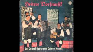 Slavko Avsenik  Heitere Dorfmusik 1965 [upl. by Heymann]