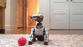 Zoe the Aibo ERS220 [upl. by Hamforrd146]