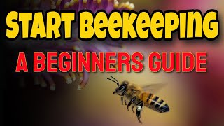 Start Beekeeping  A Beginners Guide  beekeeping beekeeping101 [upl. by Stillas]