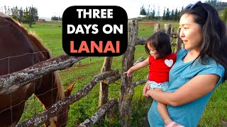 WHAT YOU NEED TO KNOW ABOUT LANAI ISLAND Interisland weekend Getaway Hawaii Travel [upl. by Nagirrek]