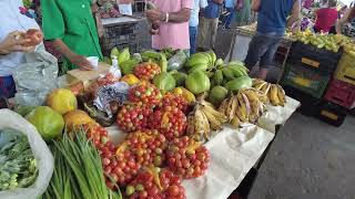 Feira de Frutas em 🍏🍅 em Tuparetama  PE EP  02 feiralivre feira [upl. by Acissev100]