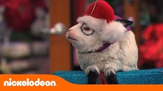 Navidad Naranja  Conejito de Navidad  Nickelodeon en Español [upl. by Cryan]