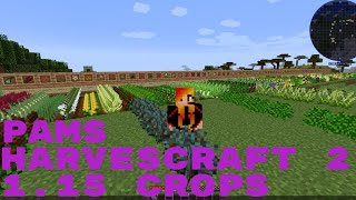 Minecraft Mod Spotlight  Pams Harvestcraft 2  Crops 1152 Mod Tutorial [upl. by Zeena]