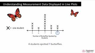 Understanding Measurement Data Displayed in Line Plots 2MD9 [upl. by Alra466]