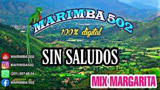 MARIMBA 502 MIX MARGARITA  Limpia [upl. by Oirifrop759]