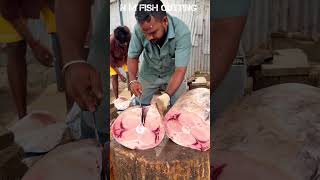 PANNI KOLA FISH 🐟 KASIMEDU AMAZING FISH MARKET speedselvamfastcutting [upl. by Idnim]