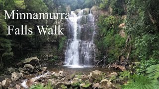 Walk amp Talk  Episode 55  Minnamurra Falls Walk [upl. by Aisitel]