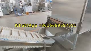 Floating Fish Feed Machine Price in India Feed Making Machine Price Pellet Feed Machine in India [upl. by Yelsa]