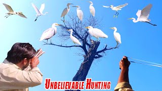 Unbelievable Cattle Egret Hunting With Handmade Slingshot [upl. by Ignazio]