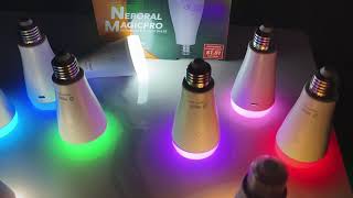 Neporal MAGICPRO Smart Rechargeable Light Bulbs with Remote [upl. by Bucella444]