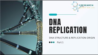 DNA Replication Part 1 [upl. by Tulley343]