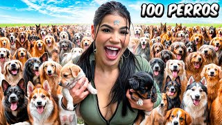 ADOPTÉ 100 PERROS en MI CASA [upl. by Eartnoed518]