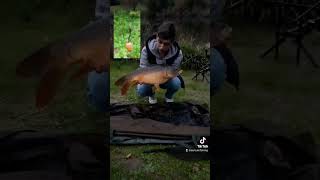 Une carpe dhalloween 🎃 carpe peche poisson [upl. by Llerdnek693]