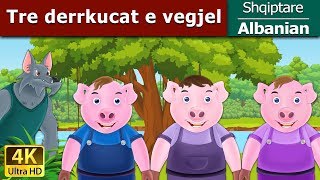 Tre derrkucat e vegjel  Three Little Pigs in Albanian  AlbanianFairyTales [upl. by Yeorgi]