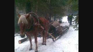 Täällä Pohjantähden alla  Jorma Hynninen [upl. by Ahsok]