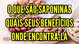 O que são saponinas  quais seus benefícios  onde encontrálas [upl. by Alaecim]