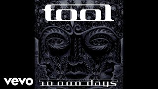 TOOL  10000 Days Wings Pt 2 Audio [upl. by Killy]